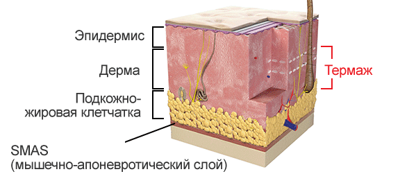 СМАС слой