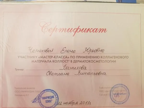 Чемекова Елена Юрьевна