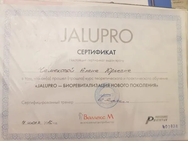 Чемекова Елена Юрьевна