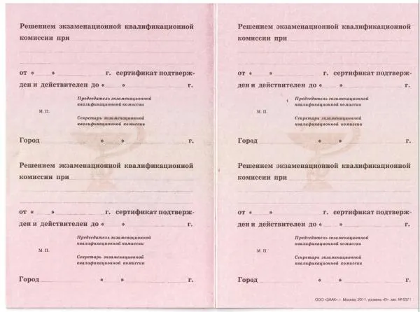 Чемекова Елена Юрьевна